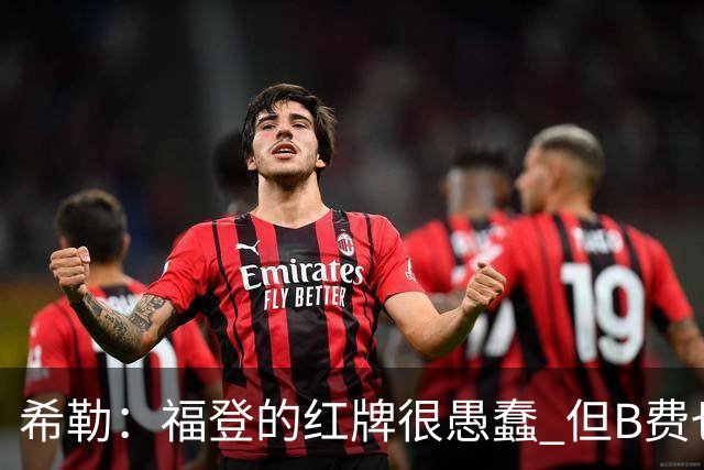 希勒：福登的红牌很愚蠢 但B费也应该被红牌罚下，如果罚就都得罚